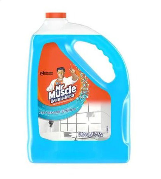 Picture for category Glass Cleaner