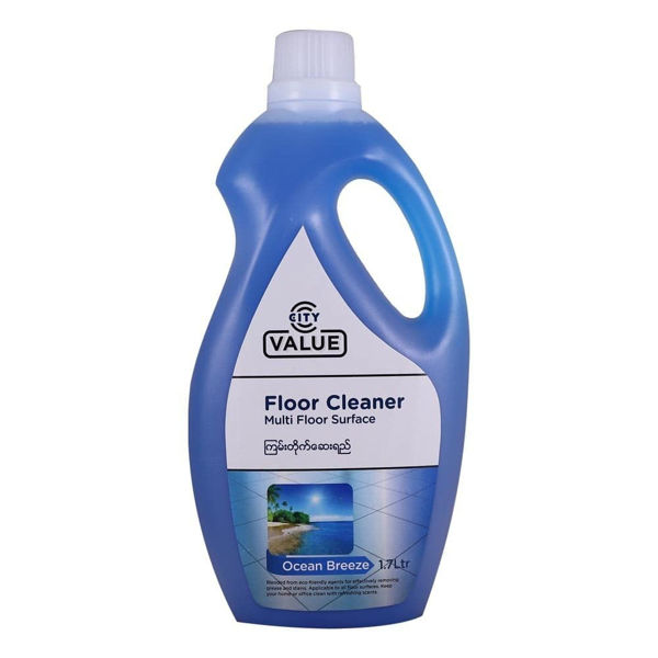 Picture for category Floor Cleaner